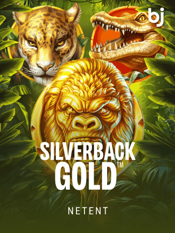 Silverback Gold thumbnail
